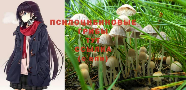 прущая мука Алзамай