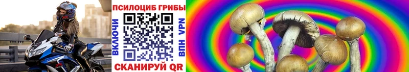 Псилоцибиновые грибы прущие грибы  Тула 